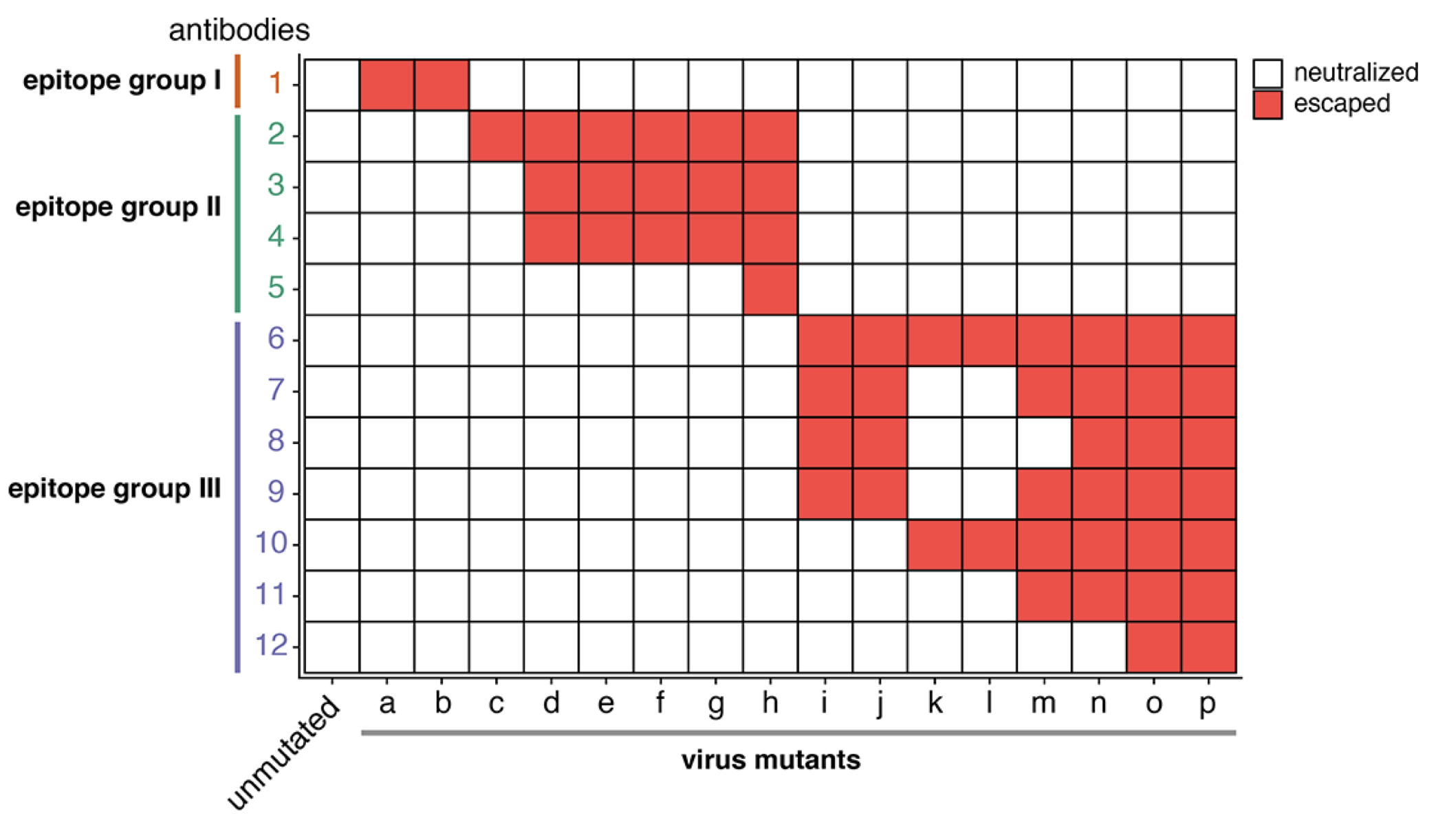 virus_evolution_2022 publication teaser
